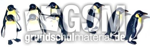Pingu9-3.JPG